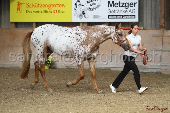 24-ApHC HIH_058.jpg